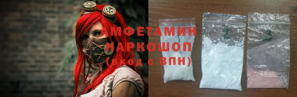 СК Алексин