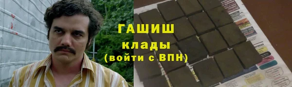 СК Алексин
