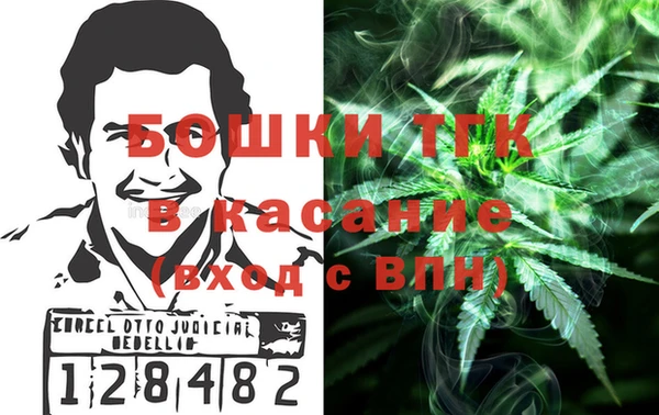 СК Алексин