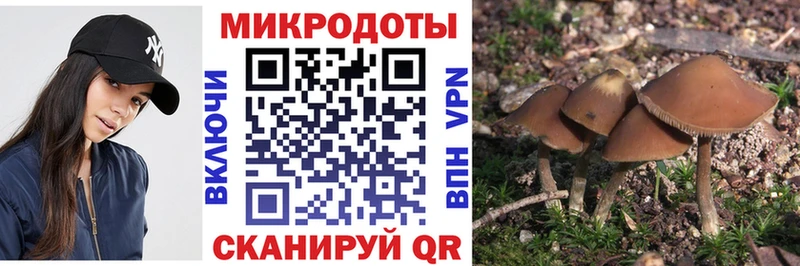 Галлюциногенные грибы MAGIC MUSHROOMS Амурск
