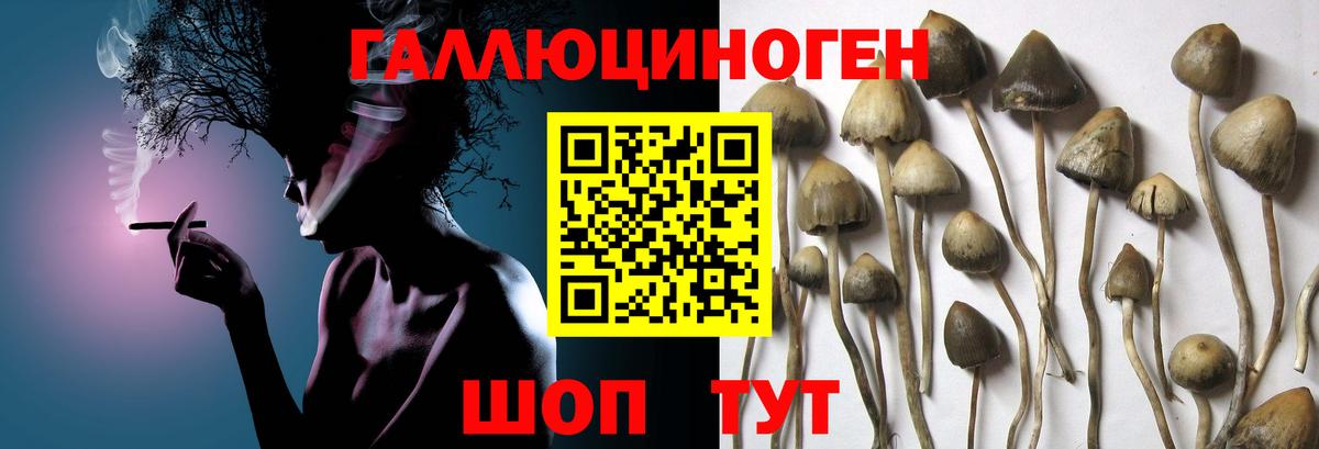 Псилоцибиновые грибы мухоморы  Вход с VPN  Амурск 
